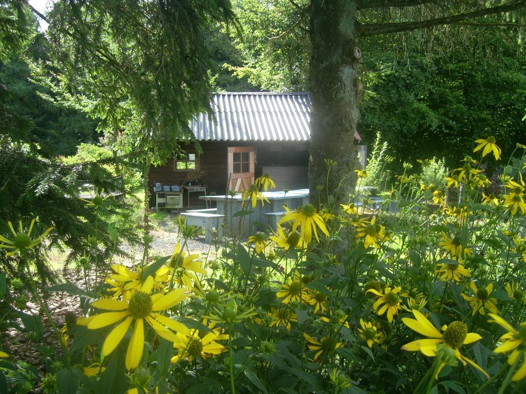 Heidehof Hellenthal Vila Exterior foto