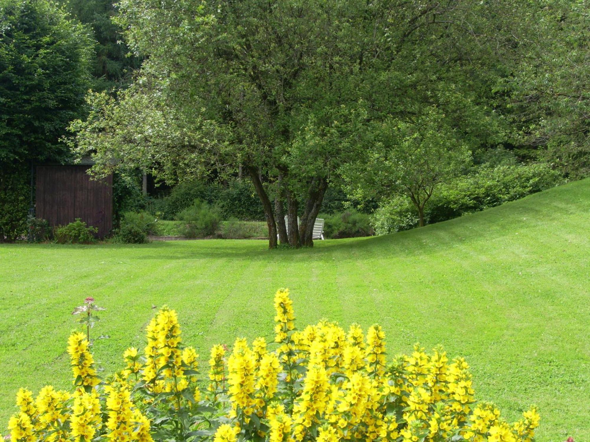 Heidehof Hellenthal Vila Exterior foto